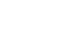 Lowe's India